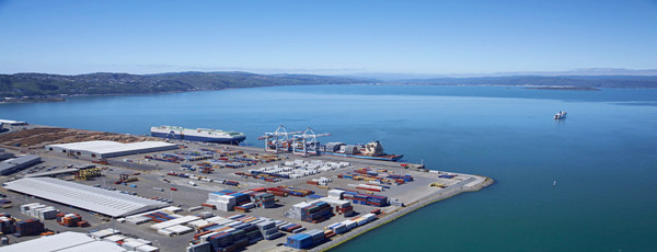 古巴海鮮進口報關