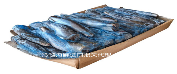 冷凍海鮮進口報關代理