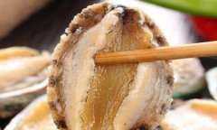 冷凍鮑魚進口清關